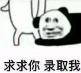表情包丨我说以后不再熬夜,狗都觉得好笑
