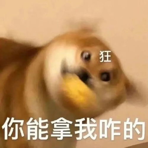 人间富贵花长相的星座女,超级旺自己