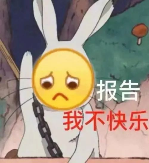 中国留学生残忍虐猫,拔掉牙齿和指甲放进烤箱,事后极力否认