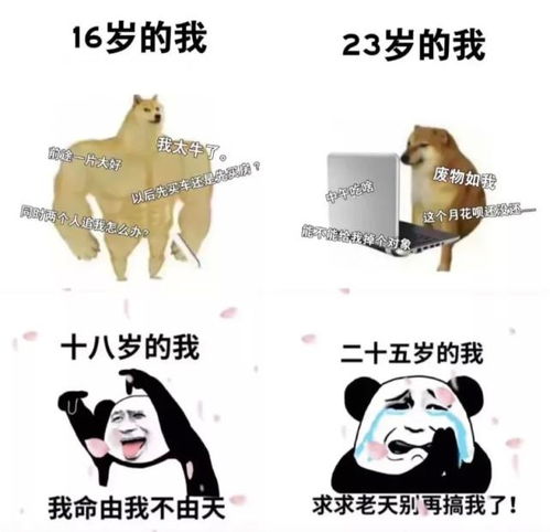 月入过万有多难我月薪2万,却被学弟学妹嘲笑收入低下