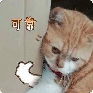 本文过于好玩且实用,看完建议直接收藏