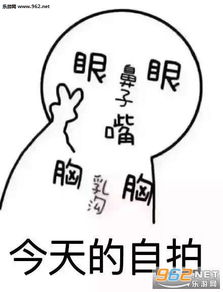 今天的自拍表情包今天的自拍照搞笑图片下载乐游网游戏下载