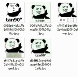 老外最喜欢的tan90度搞笑表情包下载熊猫不存在tan90度表情包下载完整版手机腾牛网