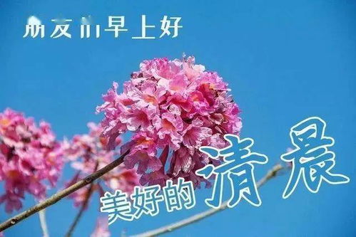 今儿你快乐过,今儿允许你灵魂出窍,记得眉开眼笑哦,早安
