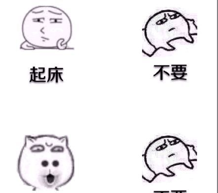 你爸妈是怎么骗你起床的我妈大早上往我被子塞了个饺子