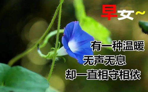2021新版微信早晨好短信大全,早上好动态表情图片大全