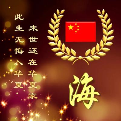 爱国头像微信头像卡通课后