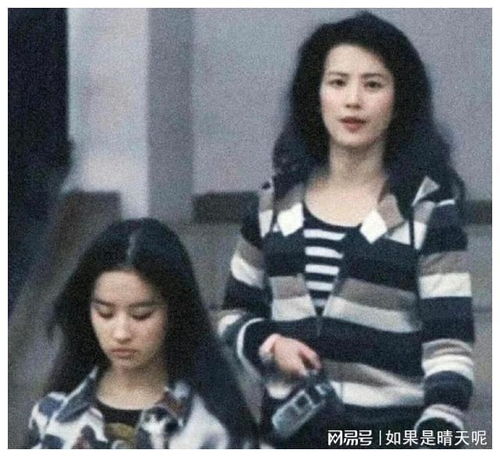 适合妈妈高雅微信头像刘晓莉
