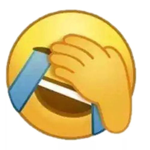 最搞笑的表情包捂脸