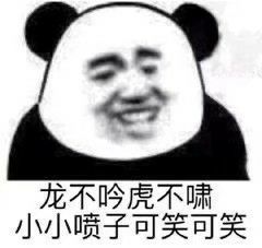 表情包熊猫头龙不吟虎不啸小小喷子可笑可笑第二十三期
