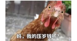 自从有了这套拜年表情包,春节走亲戚老有人给我塞红包
