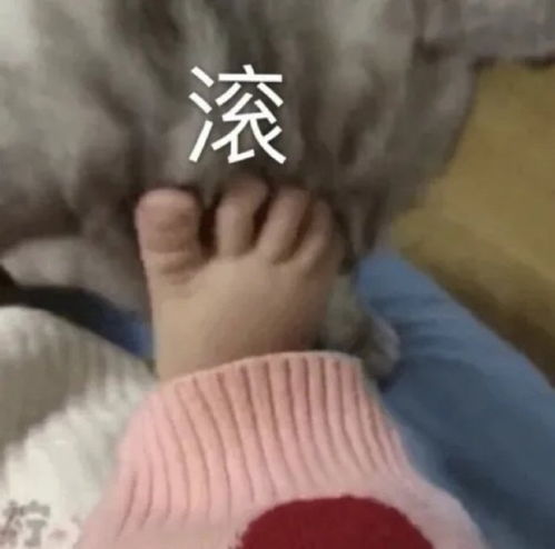 搞笑表情包图片可爱又沙雕,你在教我做事啊