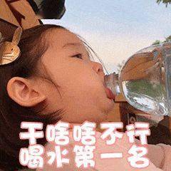 沙雕表情包干啥啥不行,单身我最行