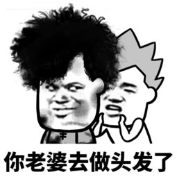 表情丨你不理我的时候,我总感觉你在做头发