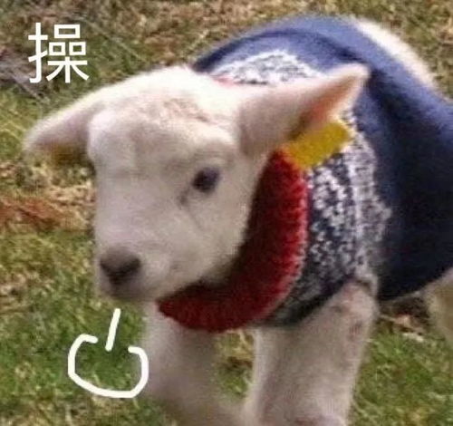 女明星也不是都美,腰间溢肉,面部卡粉一个不少