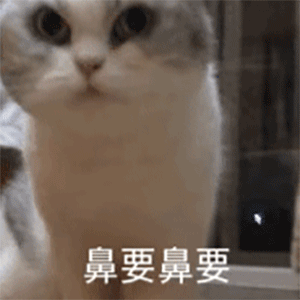 动态表情包微信搞笑有超级幽默最新版也很热门的gif表情