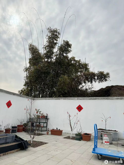 家居要选对篇四血脉觉醒,复古的中年人分享装修好物,美景好物,你一定不要错过