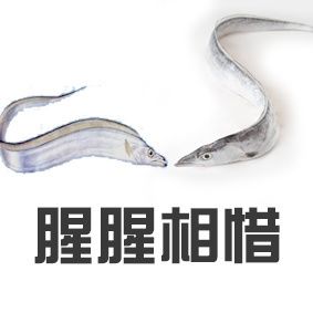 遗传的头发少怎么办