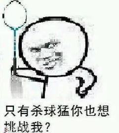 羽毛球表情包搞笑图片再也