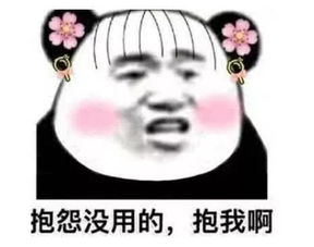 二次元熊猫头表情包给钱我什么都做