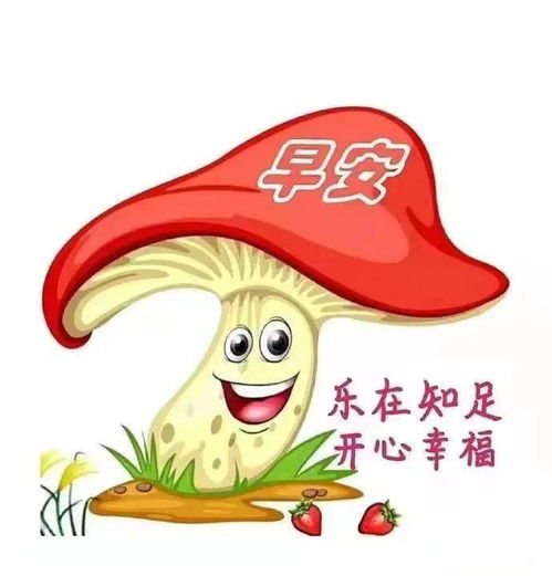 珍惜彼此,让友谊天长地久
