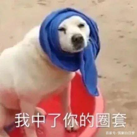 都在嘲世界的参差,内娱演艺圈的门槛在哪