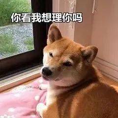 开会时手机投屏,收到我想舔你......