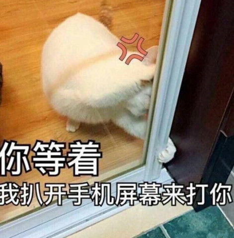 情侣超火表情包你妈让你快娶我,你爸也是这么说的