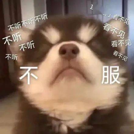 搞笑沙雕表情包