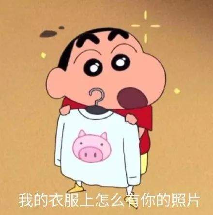 热门斗图表情包精选