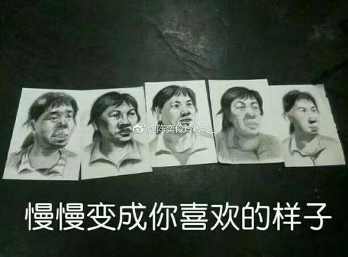 美术上有什么有趣的表情包和图片
