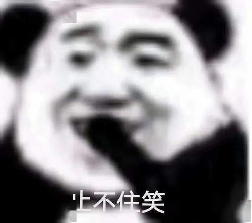 熊猫头表情包晚安啦宝贝