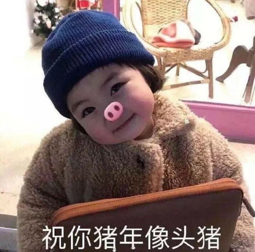 有哪些巧妙回复群发新年快乐的表情包
