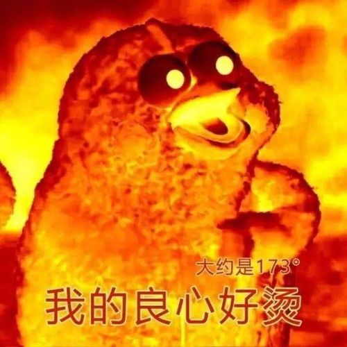最新出炉8月一大波好消息,湖北人爽翻最后一个赶紧申请