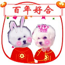 新婚祝福表情合集新婚快乐