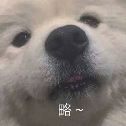 沙雕小动物表情包越可爱,越萌,越骚