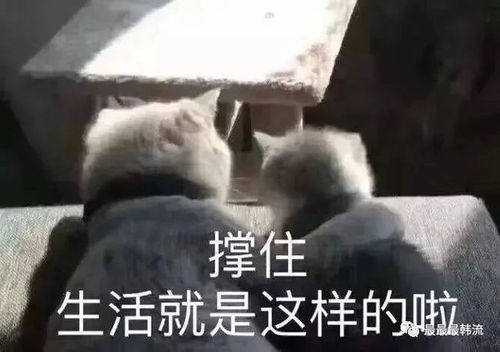 她的翻车是谁的错