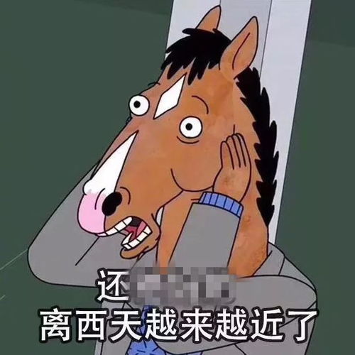 人到中年,就是一部西游记我竟无言以对