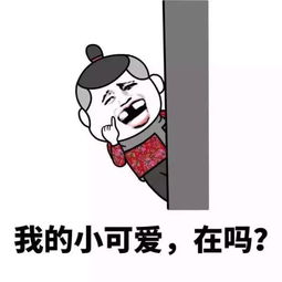 二次堆糖,美好生活研究所