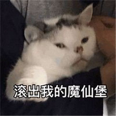 值得你去珍藏的超级爆笑的聊天表情超实用的聊天搞笑表情