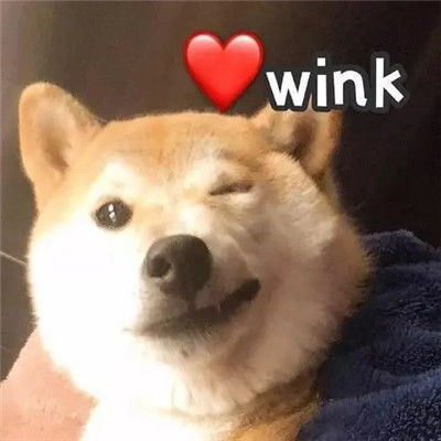 狗狗们的wink,搞怪可爱头像,你心动了没