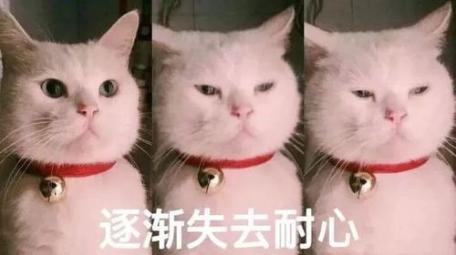 看电影看到气哭烂片排雷指南来了