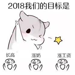 2018年来了,先定一个小目标吧仓鼠斗图表情包搞笑图片