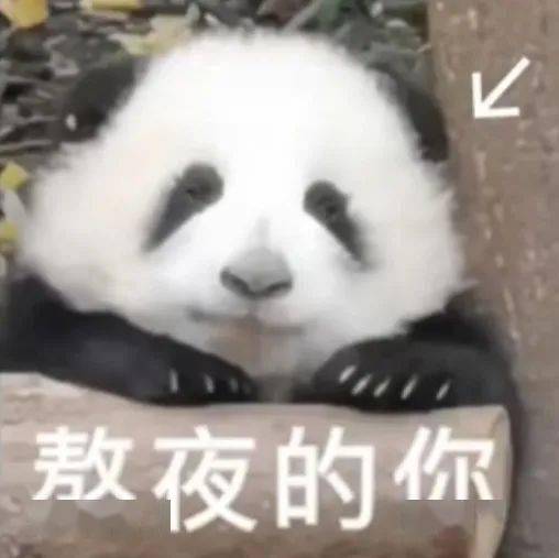 搞笑沙雕表情包