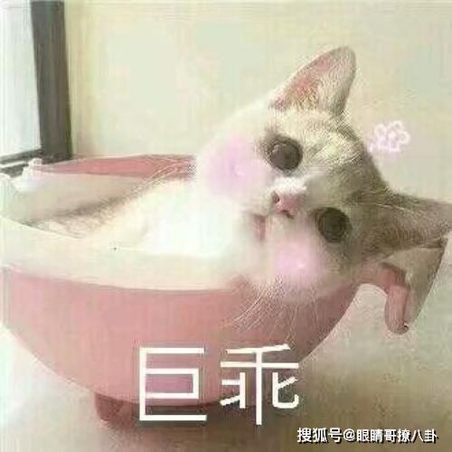 搞笑段子家里让相亲,介绍人说对方是英语老师,比俺大六岁