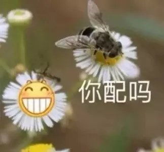钮钮原来都懂,撕完全团再说要理智,我有点想笑,...