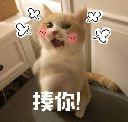 可爱的生气打人表情包信不信我揍你,啊打人啦