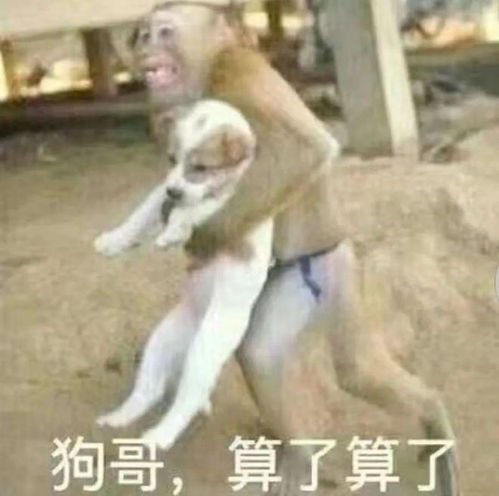 一组猴猴表情包