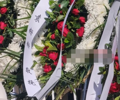 e句话看天下丨女记者远嫁西部被家暴,但她跟拉姆有本质区别