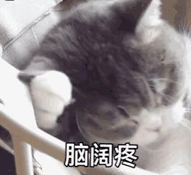 温江家长校外培训机构白名单来啦帮你擦亮双眼避开错误答案